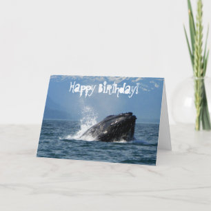 voedering aan bultrug kaart