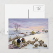 Voederschapen in de winter briefkaart (Voorkant / Achterkant)