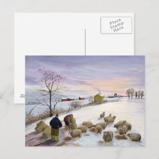 Voederschapen in de winter briefkaart (Voorkant / Achterkant)
