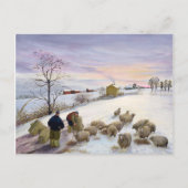 Voederschapen in de winter briefkaart (Voorkant)