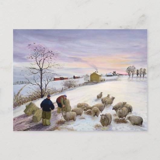 Voederschapen in de winter briefkaart (Voorkant)