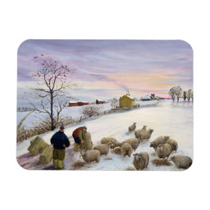 Voederschapen in de winter magneet