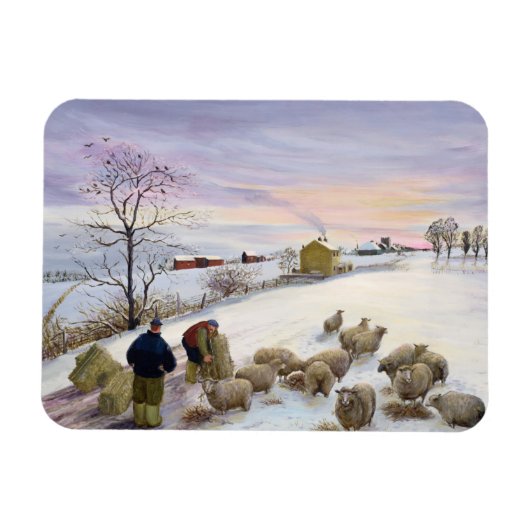Voederschapen in de winter magneet (Horizontaal)