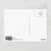 Voedertijd voor Canadese ganzen Briefkaart (Achterkant)