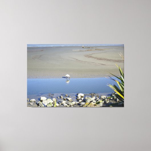 Voedertijd voor Royal Spoonbill Canvas Afdruk (Voorkant)