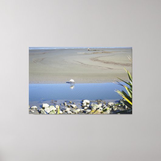 Voedertijd voor Royal Spoonbill Canvas Afdruk (Voorkant)