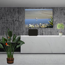 Voedertijd voor Royal Spoonbill