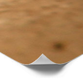 Voedervoeders in de tuin poster (Hoek)