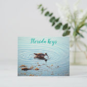 Voedervoeders op Sunset Key West Florida Briefkaart (Staand voorkant)