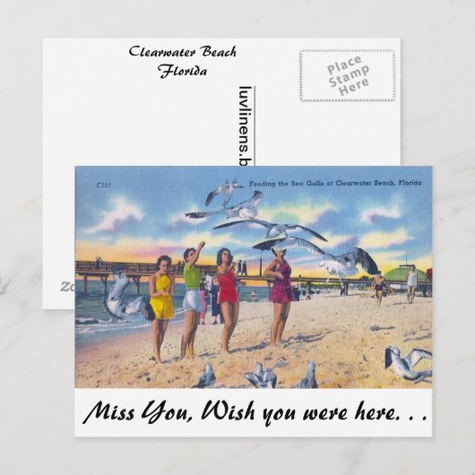 Voederwagens, Clearwater Beach, Florida Briefkaart (Voorkant / Achterkant)