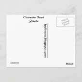 Voederwagens, Clearwater Beach, Florida Briefkaart (Achterkant)