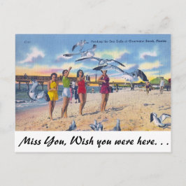 Voederwagens, Clearwater Beach, Florida Briefkaart