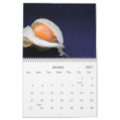 Voeding + fotografie 2010 kalender (Jan 2027)