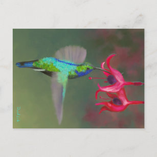 Voeding Hummingbird JW Briefkaart