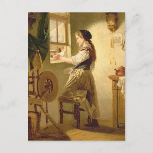 Voeding in de winter briefkaart (Voorkant)
