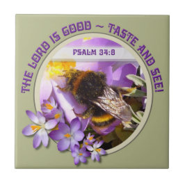 Voeding van bijen in de lentesurk tegeltje