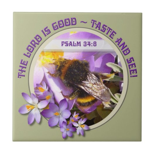 Voeding van bijen in de lentesurk tegeltje (Voorkant)