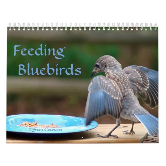 Voeding van blauwvogels kalender (Hoes)