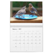 Voeding van blauwvogels kalender (Feb 2027)