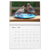 Voeding van blauwvogels kalender (Feb 2026)