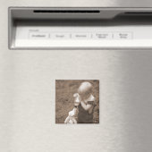 Voeding van de geitenmagneet magneet (Insitu (Vaatwasser))