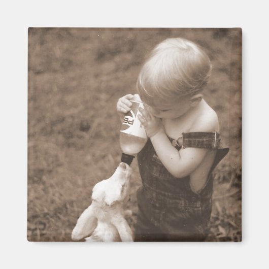 Voeding van de geitenmagneet magneet (Voorkant)