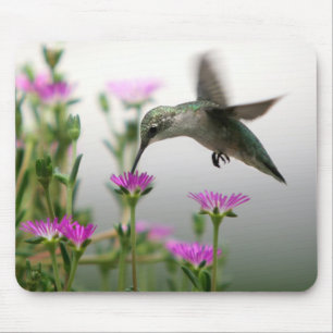 Voeding voor levende vogels muismat