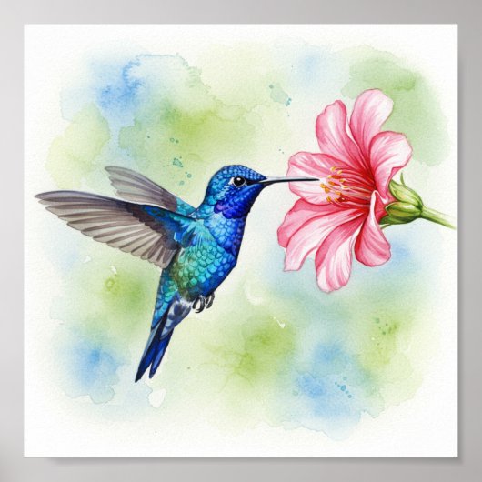 Voeding voor levende vogels poster (Voorkant)