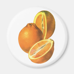  voedingsmiddelen, Fruit Organic Fresh Health Sina Magneet
