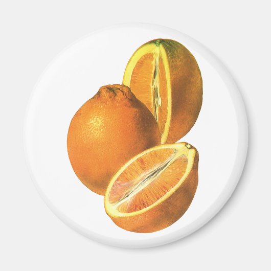  voedingsmiddelen, Fruit Organic Fresh Health Sina Magneet (Voorkant)