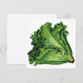 voedingsmiddelen groene blaasjes met sla (Voorkant / Achterkant)