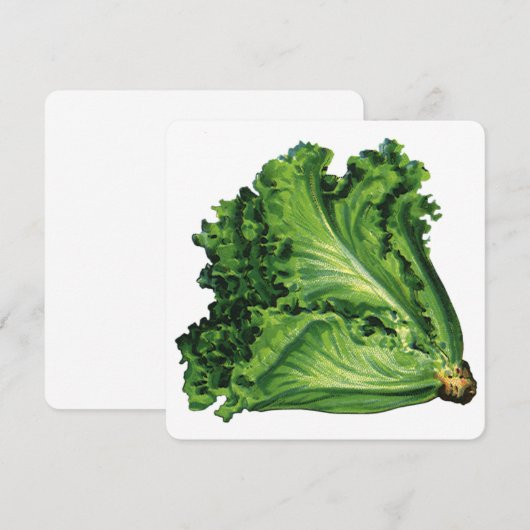  voedingsmiddelen groene blaasjes met sla (Voorkant / Achterkant)