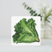 voedingsmiddelen groene blaasjes met sla (Staand voorkant)