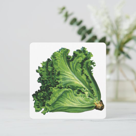  voedingsmiddelen groene blaasjes met sla (Staand voorkant)