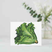  voedingsmiddelen, groene bladsla, groenten briefkaart (Staand voorkant)