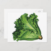  voedingsmiddelen, groene bladsla, groenten briefkaart (Voorkant / Achterkant)