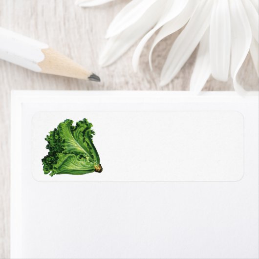  voedingsmiddelen, groene bladsla, groenten etiket (Insitu)