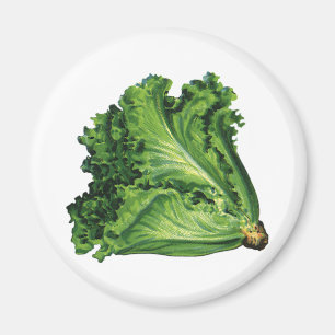  voedingsmiddelen, groene bladsla, groenten magneet