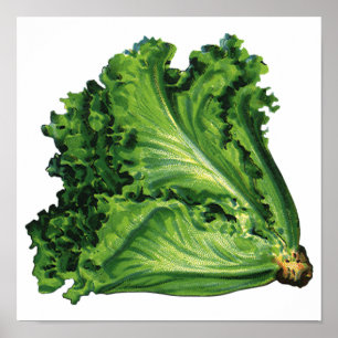 voedingsmiddelen, groene bladsla, groenten poster