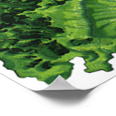 voedingsmiddelen, groene bladsla, groenten poster (Hoek)
