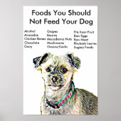 Voedingsmiddelen U mag uw hond-Poster niet voeden Poster (Voorkant)
