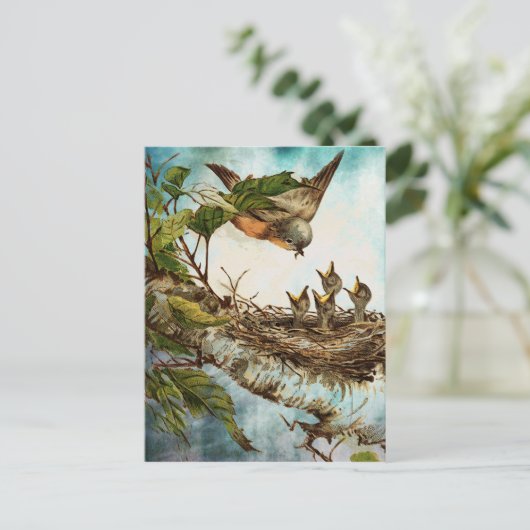 VOEDINGSTIJD BRIEFKAART (Staand voorkant)