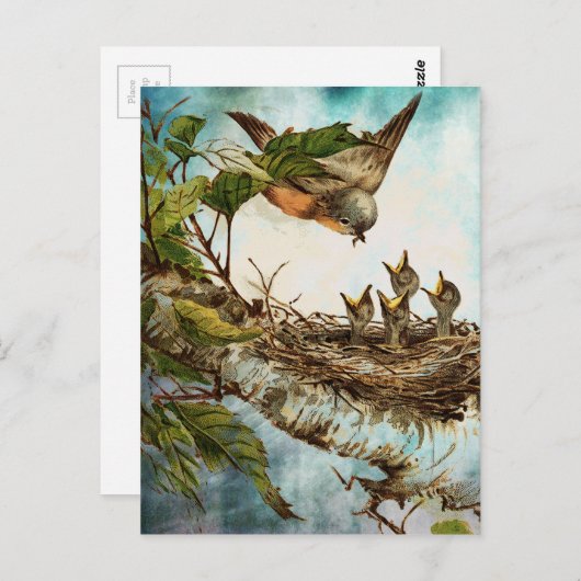 VOEDINGSTIJD BRIEFKAART (Voorkant / Achterkant)