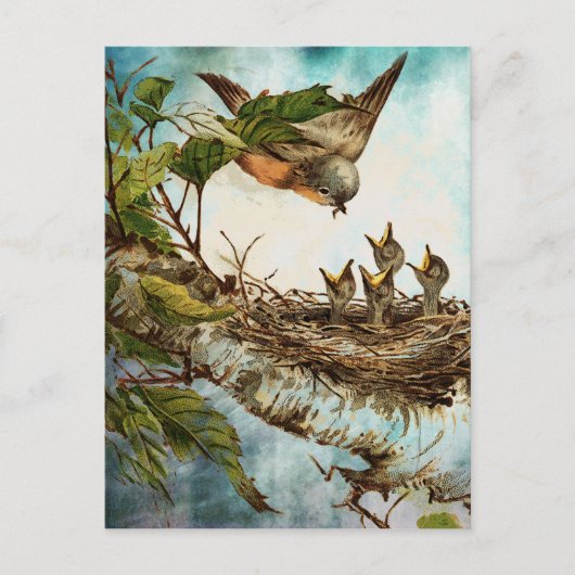 VOEDINGSTIJD BRIEFKAART (Voorkant)