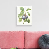 voedingsvruchten, Paarse tuinplassen van Redoute Canvas Afdruk (Insitu (Woonkamer))