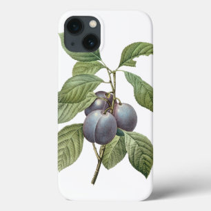 voedingsvruchten, Paarse tuinplassen van Redoute iPhone 13 Hoesje