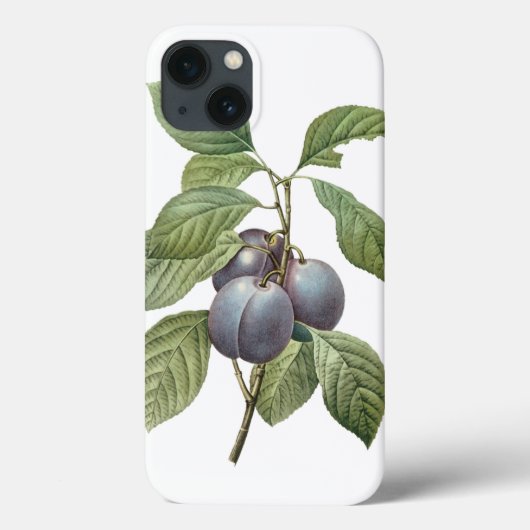  voedingsvruchten, Paarse tuinplassen van Redoute Case-Mate iPhone Case (Achterkant)