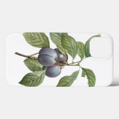 voedingsvruchten, Paarse tuinplassen van Redoute Case-Mate iPhone Case (Achterkant (horizontaal))