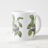  voedingsvruchten, Paarse tuinplassen van Redoute Grote Koffiekop (Voorkant rechts)