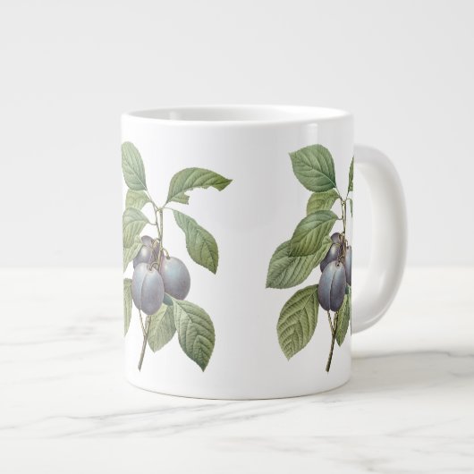  voedingsvruchten, Paarse tuinplassen van Redoute Grote Koffiekop (Voorkant rechts)